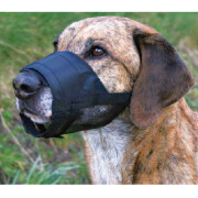 Muselière avec partie maillée pour chien