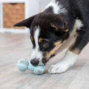 Jouet Junior Haltère pour chiot