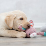 Jouet Lièvre pour chiot avec son