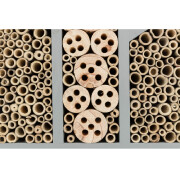Hôtel pour abeilles sauvages et guêpes