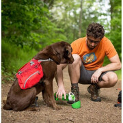 Gourde avec bol intégré Vert pour chien