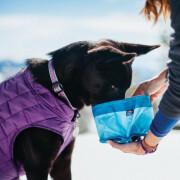 Gamelle de voyage pliable pour chien Zippy Bleu
