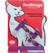 Harnais anti fugue laisse chat Basic Violet