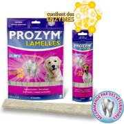 Prozym lamelle chien 