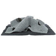 Jouet intéractif Adventure Carpet 