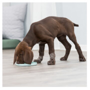 Tapis de léchage chiot Lick’n'Snack Junior