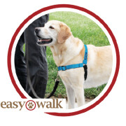 Harnais anti traction Deluxe Easy Walk + laisse