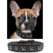 Collier luxe, original Calavera pour Chien