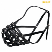 Muselière de Frappe pour chien Julius-K9