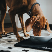 Gamelle design Céramique KERAMIK GRIS