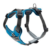 Harnais Divo pour chien BLEU CLAIR