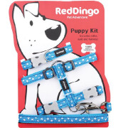 Collier harnais et laisse pour chiot RedDingo BLEU