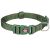 Collier Premium pour Chien Vert Forêt
