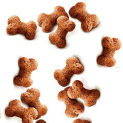 Friandises Crunchy Chien Sanglier&Églantier