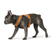 Harnais London Comfort pour Chien ORANGE