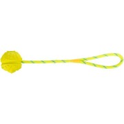 Aqua Toy Balle sur corde pour Chien