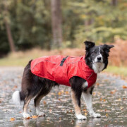 Imperméable Vimy rouge pour chien