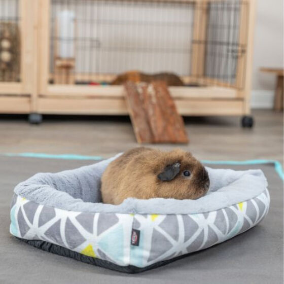 Panier pour lapin : lit en peluche