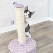 Poteau avec Griffoir pour Chaton MAUVE