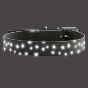 Collier Convenience pour Chien