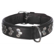 Collier Active Doublée pour Chien