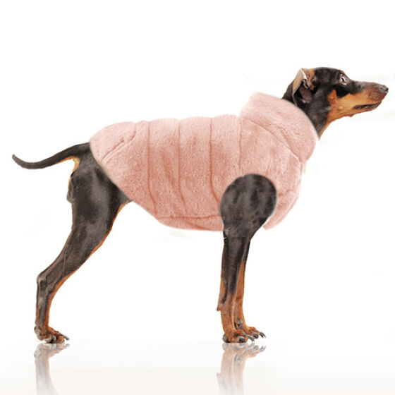 MP1801 - NIKITA - Dog.jpg