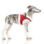 Manteau harnais intégré LAPPI