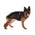 chiens-difac-manteau-explo-special-grands-chiens-638422231-500x500.jpg
