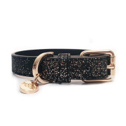 Collier luxe pour chien Stardust champagne