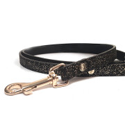 Collier luxe pour chien Stardust champagne