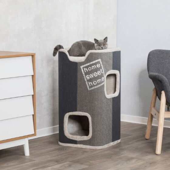 Arbres à chats originaux, gris, Tour Jorge