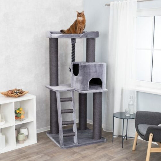 Arbre à chat XXL, gros chat, Maine Coon Sergio