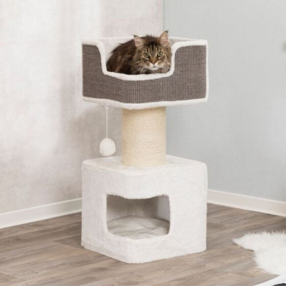 Arbre à chat XXL, pour gros chat, Maine Coon : Ava