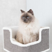 Arbre à chat XXL, pour gros chat, Maine Coon : Ava