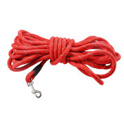 Longe pour chien Walk Rouge 