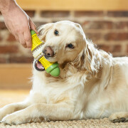 Jouet pour chien en épi de maïs résistant