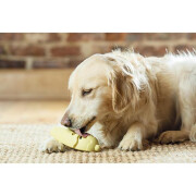 Jouet cône glacé à garnir