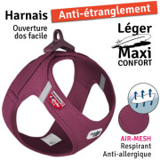 Harnais Curli Boucle Air- Mesh VIOLET