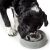 Gamelle Anti-glouton chien Atlanta