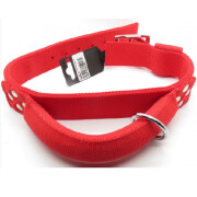 Collier avec poignée Gros Chien ROUGE 