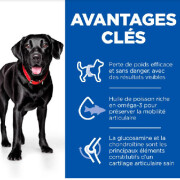 Perfect weight & Active Mobility Large Chien 