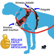 Harnais Anti-traction Rando Walk ROUGE