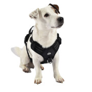 Harnais Anti-traction en Y pour chien Rando Walk NOIR