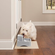 Fontaine à eau Drinkwell Chien&Chat