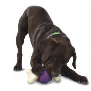 Jouet distributeur, résistant, Busy Buddy Bouncy Bone