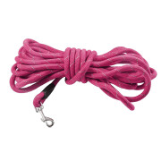 Laisse longue pour chien 3 m, 5 m, 10 m, Walk Fuschia
