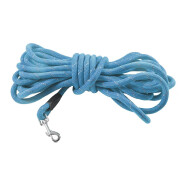 Longe pour chien Walk Bleu