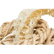 Anneau en luffa pour Rongeurs 