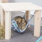 Cabane avec hamac pour Cochon d'Inde & Lapin Nain