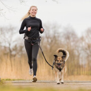 Ceinture de jogging avec laisse pour Chien